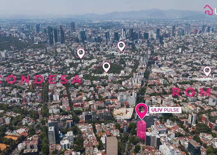 Uliv Pulse Roma - Condesa *